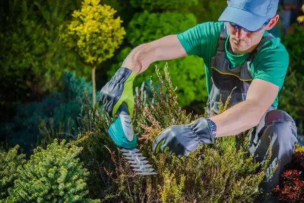 landscaping services Pasadena Hills